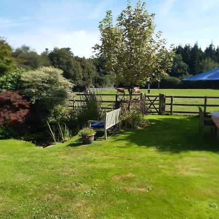 Woodlands Cottage Farm Wickham Eksteriør bilde