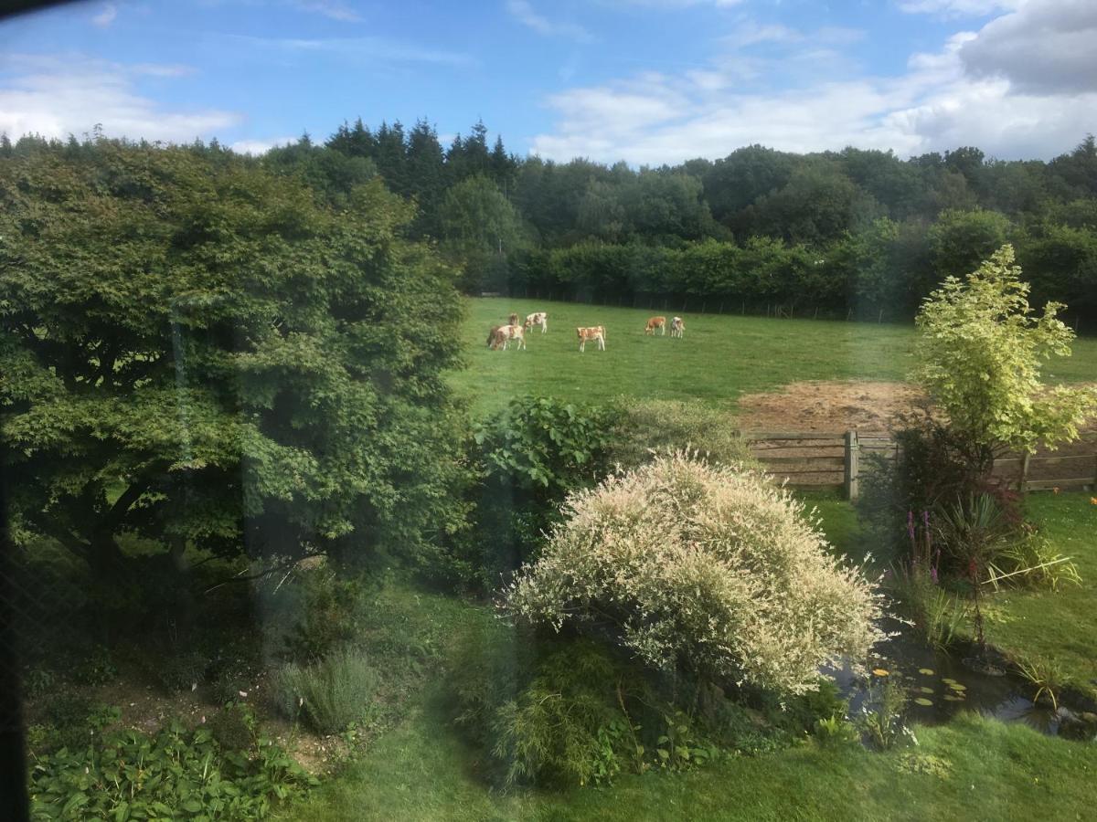 Woodlands Cottage Farm Wickham Eksteriør bilde